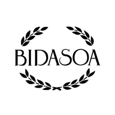 BIDASOA